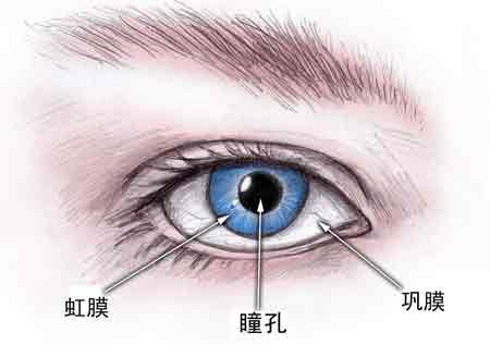 原發(fā)性開角型青光眼的癥狀有哪些